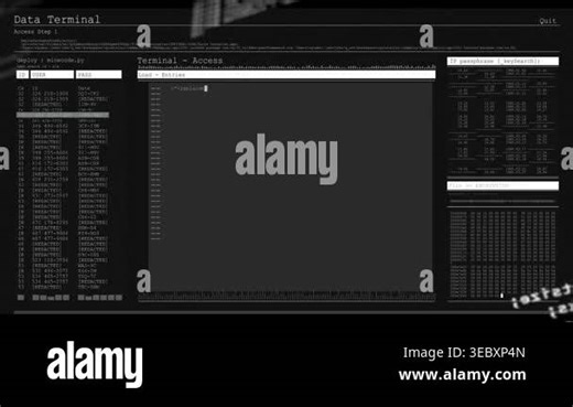 Data Terminal UI revealing console after code blur, loading entities, showing encryption for audit. Dark, futuristic, interface, editor, hex, binary, overlay Stock Video Footage - Alamy