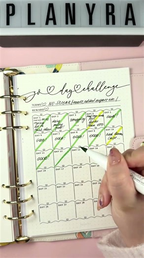 My Health Bullet Journal Routine 🍏 No Sugar Challenge & Wellness Trackers #journalwithme #journaling