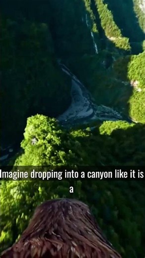 What it ACTUALLY looks like to have wings (Eagle POV)