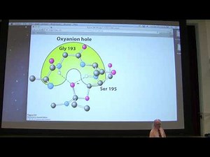 12. Kevin Ahern's Biochemistry - Enzyme Mechanisms