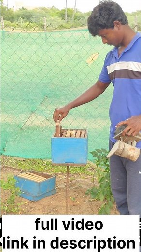 how to start🥰😍 bee keeping#how to raise bees#honeybee#beekeeping#honeyfarm #honey#agriculture