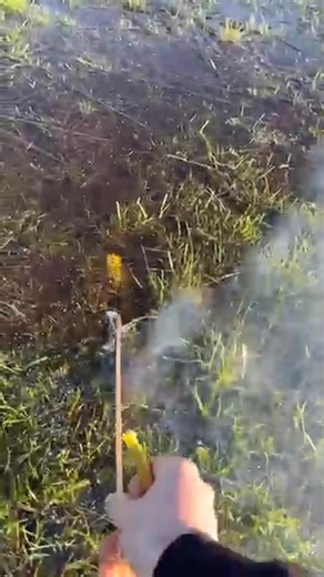 Rocket under ice #shorts #firework #rocket #outdoors #newyear | Experiment Channel