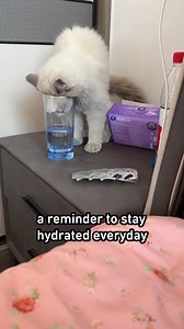 Bro studies hydrodynamics | 9GAG Cute