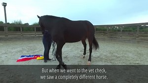 390K views · 903 reactions | Desiree and Helen started with TRT...