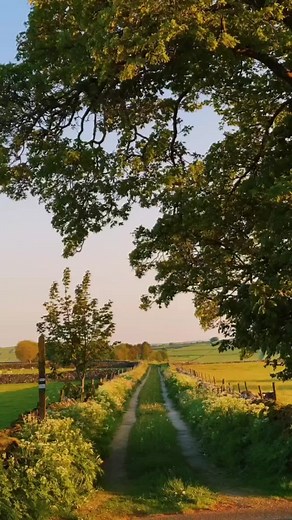 Darov! #country #foryoupagе #fyrシ #mappingcommunity #mapper #fun #europe #map