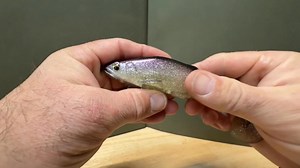 Petite présentation: le Stealth Swimmer d’Imakatsu, il passe partout, l’hameçon est complètement masqué dans le leurre, maintenu par un aimant pour se décrocher au ferrage. À bientôt | DIS Fishing by DIS Marine