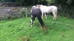 11K views · 412 reactions | Today started off as my typical Sunday....