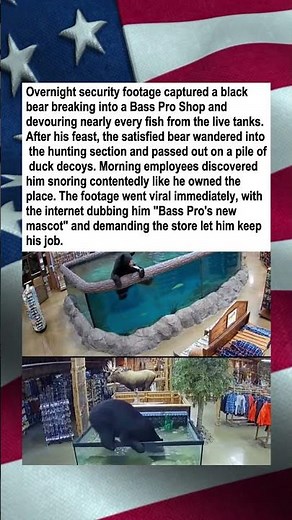 Bear's All-You-Can-Eat Bass Pro Feast