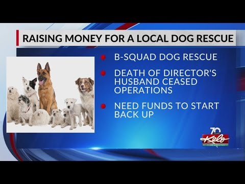 B-Squad Dog Rescue seeking financial support