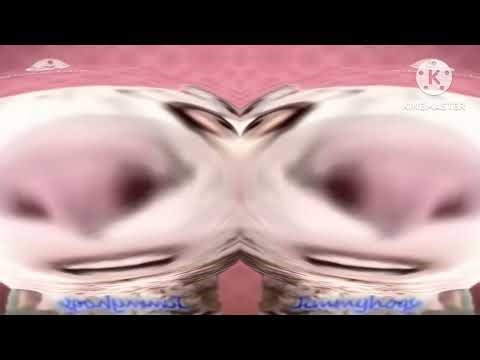 Numa cat deaf major major