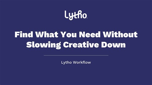 Stakeholder Guidance - Finding What You Need | Lytho Workflow