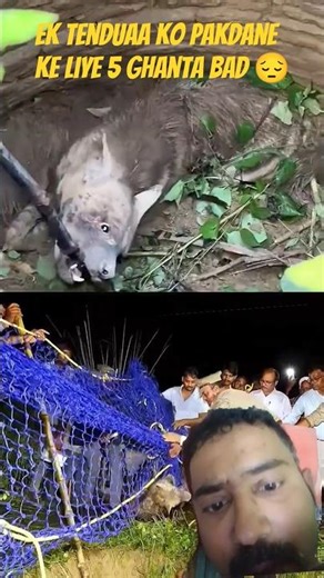 ek tenduaa Ko pakdane ke liye 5 ghanta bad#rescue#shorts#shortvideos#surajroxfunnyvibeo#realfools#yt