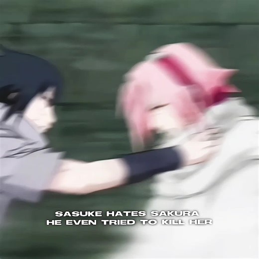 Sasuke's Revenge: The Saga of Sakura