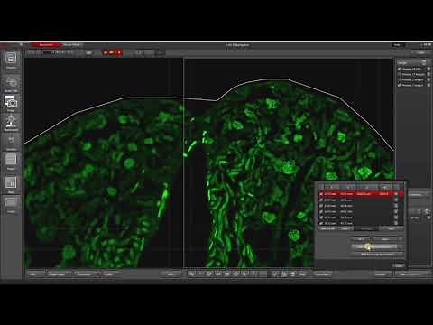 Leica LAS X Navigator: Focus Map