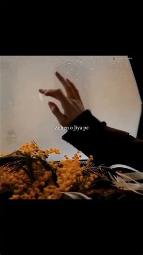 Malang 🔥 - Extended Version | Aesthetic Lyrics Video | #lyrics #song #malang #shorts #trendingsing