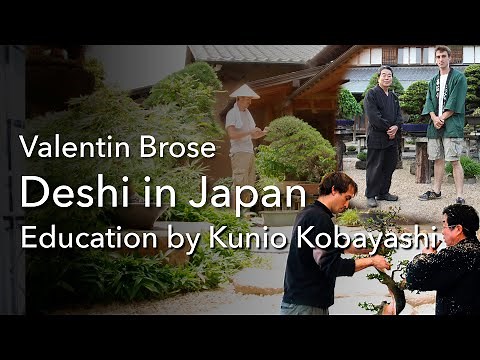 Bonsai - Interview: Valentin Brose, the time as student of Mr. Kunio Kobayashi, in Shunka-en / Tokyo