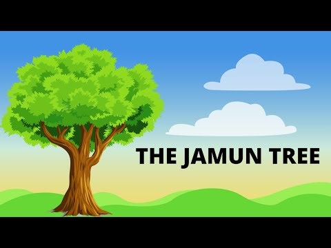 THE JAMUN TREE | Class 9 chapter 1 UNIT 1A | CGBOARD | English classes| Summary of lesson | CGBSE