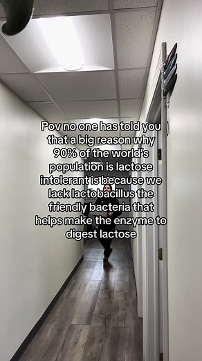 Lactobacillus decreases over time with antibiotics, poor diet and more. Supplementing with a lactobacillus based probiotic can help boost natural levels of lactase the enzyme responsible for digesting lactose. #lactose #lactoseintolerant #dairy #dairyfree #lactobacillus #probiotics