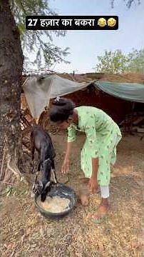 27 हज़ार का बकरा 😂🤣#youtube #comedy #trending #funny #love #youtubeshorts #shorts #viralvideo