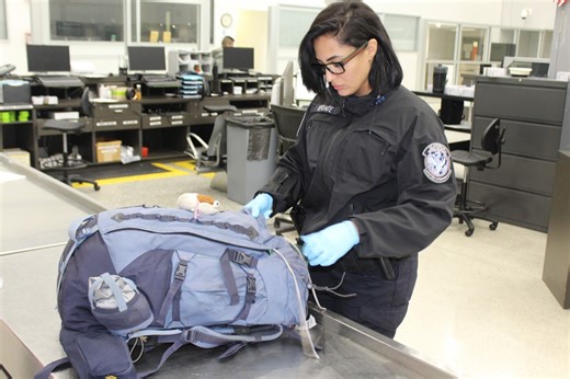 44K views · 725 reactions | CBP Manual Bag Inspection: What You Need...