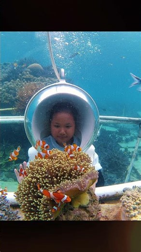 wisata laut pulau pahawang lampung#pahawanglampung#pahawang#pahawangisland#seaworld#seawalker