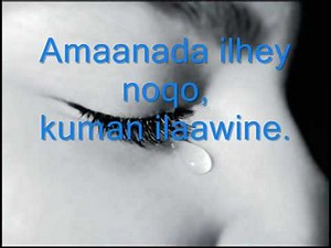 Ali Najiib Amiin Allahayoow Lyrics