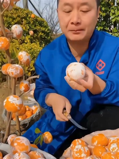 Creative Ways to Cut and Present Fruits