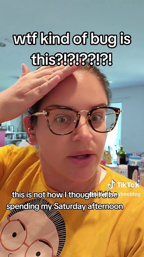 What is this Bug? How to Get Rid of Pantry Menace | Expert Advice