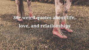 Collection of weird quotes about love, life, and relationships