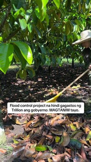 The real FLOOD CONTROL PROJRECT: MAGTANIM 💚 | DJ Maja on Tiktok