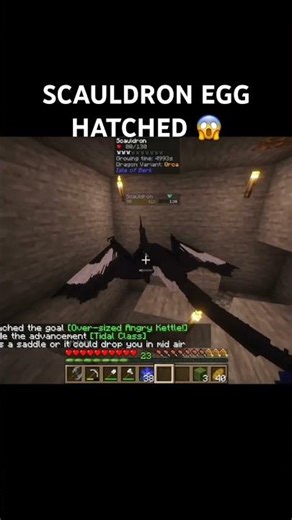 SCAULDRON EGG #hatched #minecraft #gaming #clips #mod #archipelagoadditions #httyd #dragon #dragons