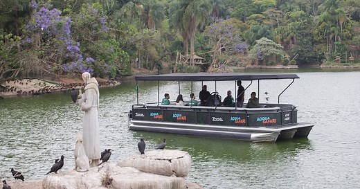 Zoo de São Paulo inaugura Acqua Safari; saiba como funciona e veja o vídeo