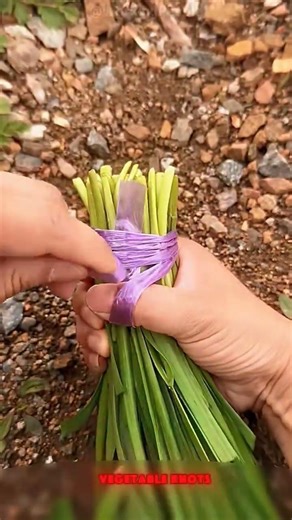 Vegetable knot tying techniques 🥬🧶 #shorts