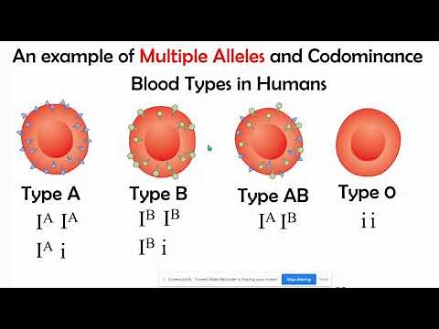 Incomplete vs Codominance, Mupltiple Alleles, & Polygenic Inheritance