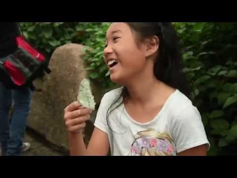 Niagara Parks Butterfly Conservatory