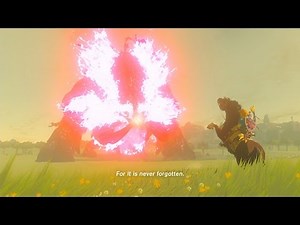 Switch Longplay [001] The Legend of Zelda Breath of the Wild (Part 11 of 11)