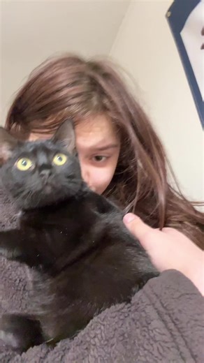 Aligator 🐊 (@alithealig8r)’s videos with original sound - Aligator 🐊