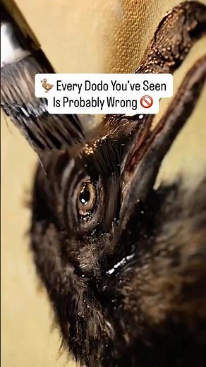 🦤 Every Dodo You’ve Seen Is Probably Wrong 🚫