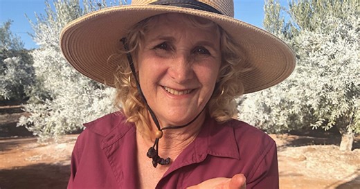 A GROWING PASSION: For The Love Of Olives