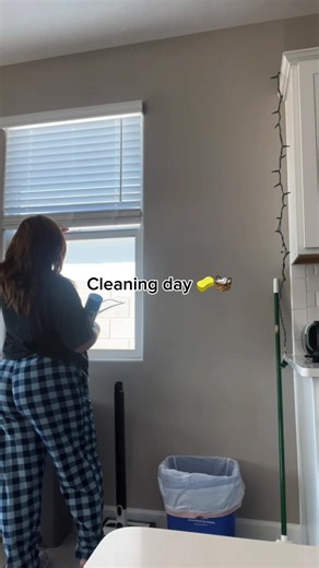 Just a lil reset 🦖 I know it may not look as dirty but I swear it was 💀#CapCut #fyp #cleaning #resetwithme