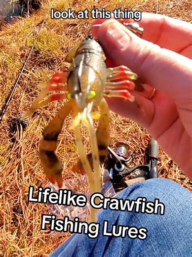 Lifelike Crawfish Fishing Lures: Must-Have for Fishers