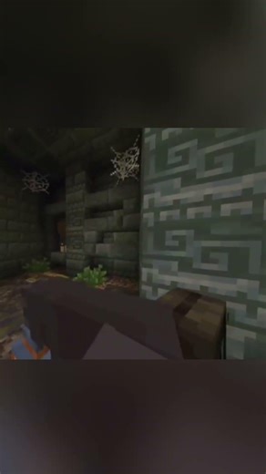Minecraft bedrock edition vibe video #mods #Minecraft #graphic