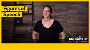 What are Figures of Speech? (Video)