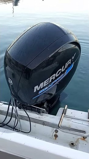 Mercury 150 hp 4 strokes cold start