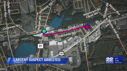 Suspect charged in $24K larceny of Springfield business