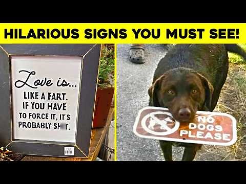 Funniest Signs Around the World
