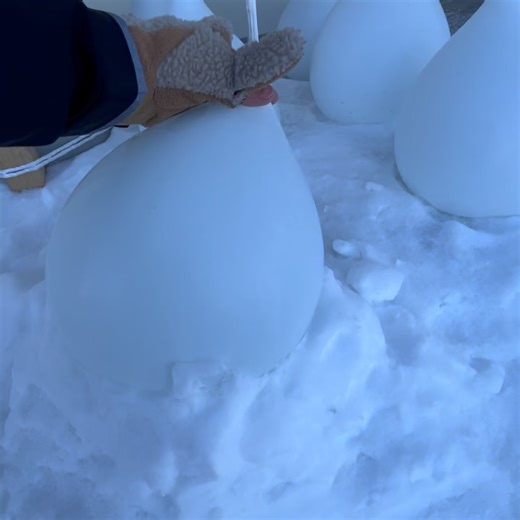 旭川市旭山動物園（Asahiyama Zoo） on Reels