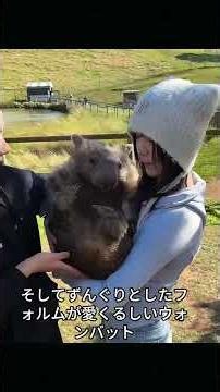 The 5 Most Adorable Animals in the World #Animals