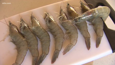 Radioactive shrimp: Walmart warns some shrimp sold could be contaminated