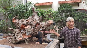 129K views · 4.8K reactions | Đầu tư gần tỉ bạc, mời thợ cao tay về phá tan hoang hẹn 10 năm sau lên 10 tỉ | Mạnh Bonsai | Facebook
